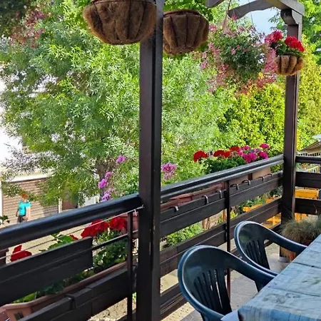 жужа Несебър